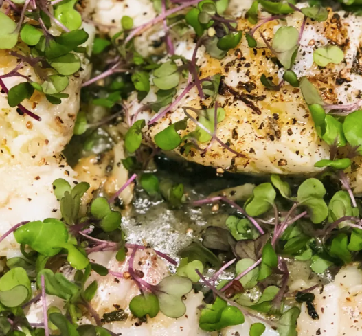 Red Cabbage Microgreens