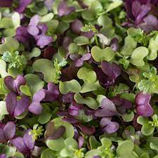 Power Salad Mix